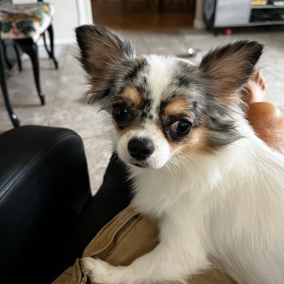 KMSCTE - Picture 7 of 14